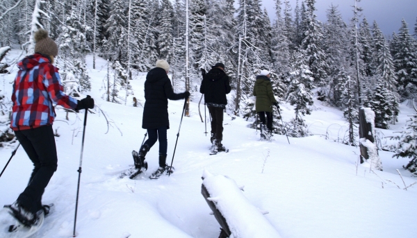 Snowtrekking
